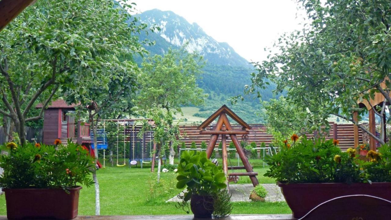 Sura Pietrei Craiului Hotel Zărneşti Eksteriør billede
