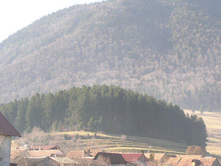 Sura Pietrei Craiului Hotel Zărneşti Eksteriør billede